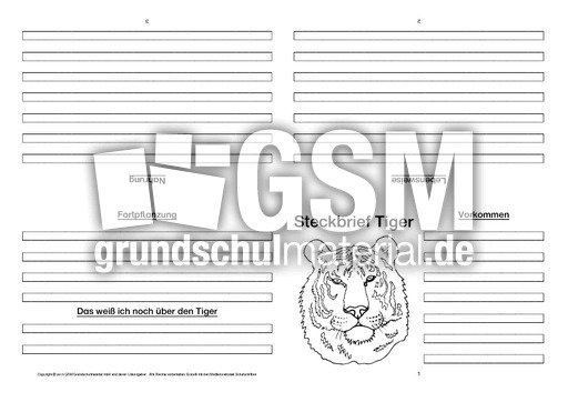 Tiger-Faltbuch-vierseitig-1.pdf